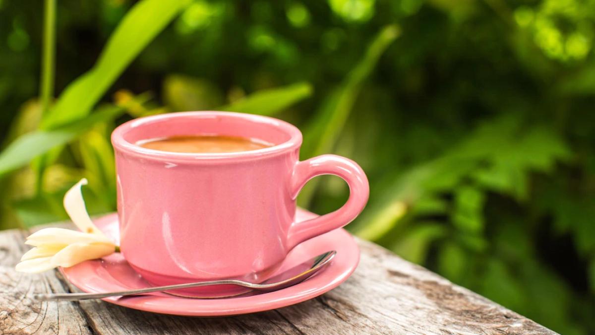 cafeaua-care-stimuleaza-memoria--nutritionist-vine-cu-un-aflux-urias-de-antioxidanti_70597600