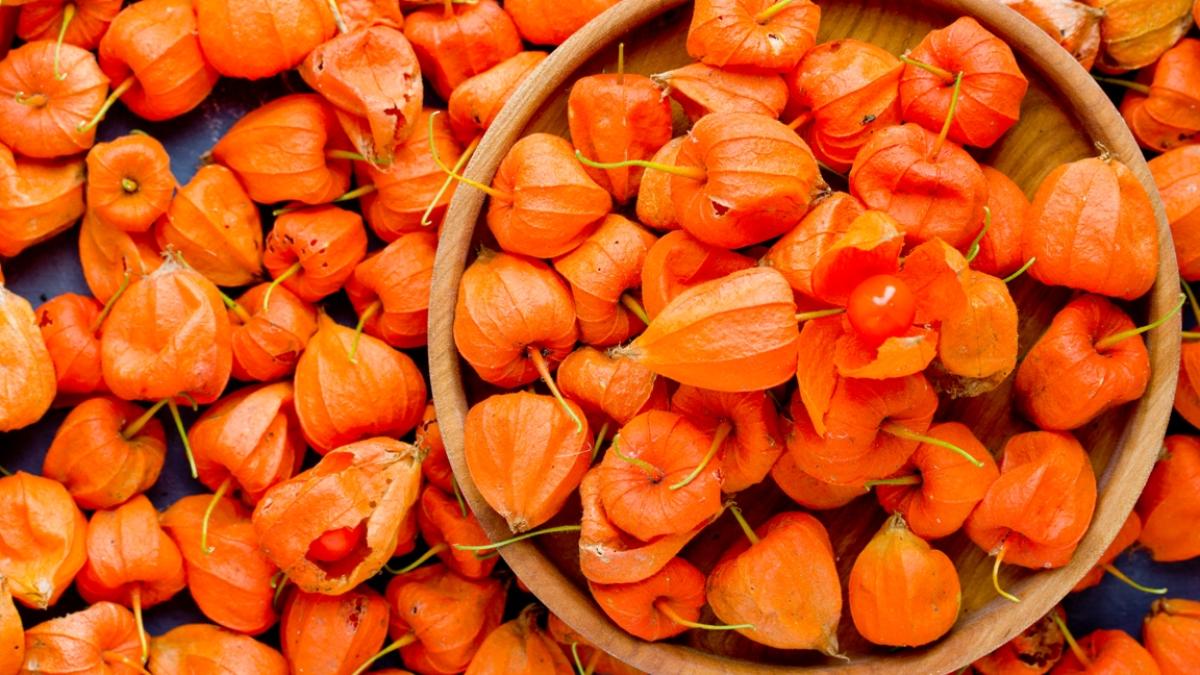 physalis--efecte-asupra-sanatatii_23505900