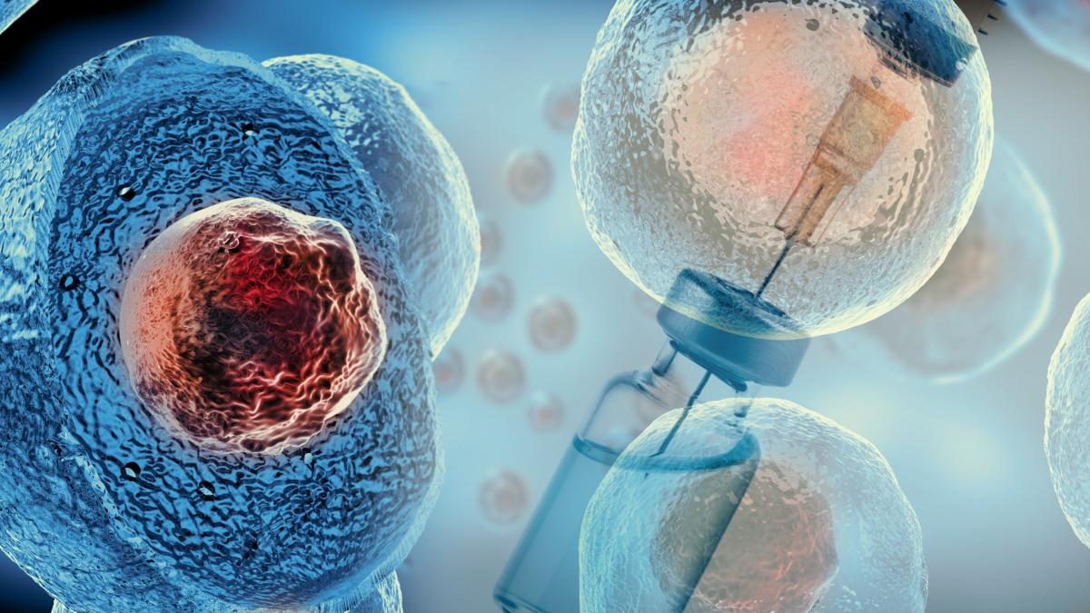 vaccinul-impotriva-cancerului-a-fost-creat-de-italieni-foloseste-un-virus-ca-un-cal-troian--s-a-dovedit-eficient-deja-pentru-12-pacienti-cu-cancer-de-colon_83248200