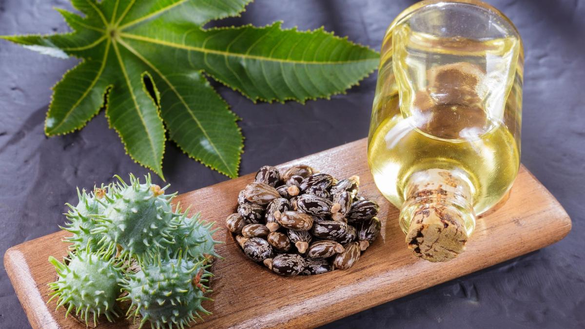 uleiul-de-ricin--beneficii-pentru-imunitate-si-sanatatea-parului-si-a-pieii--care-sunt-contraindicatiile-sale_22253500
