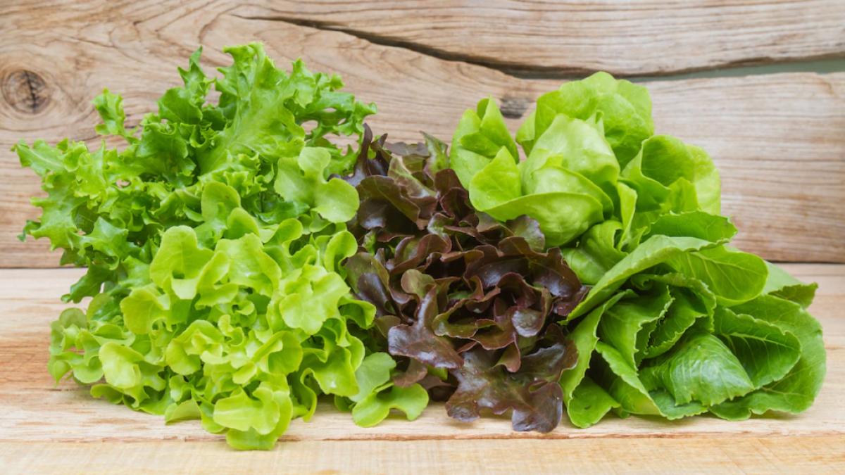 salata-verde-cu-frunze-rosii--efecte-asupra-tensiunii-si-inimii_12770200