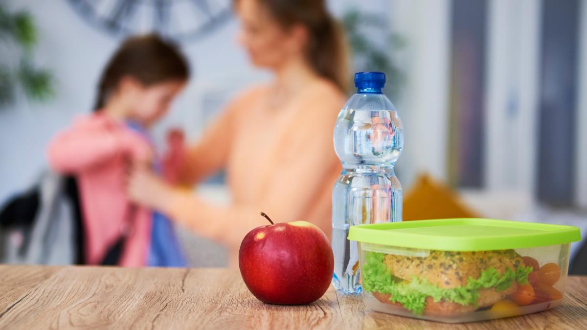 care-este-pachetul-ideal-pentru-scoala--nutritionist-va-primi-tot-ce-are-nevoie--structurat--organizat_63322200