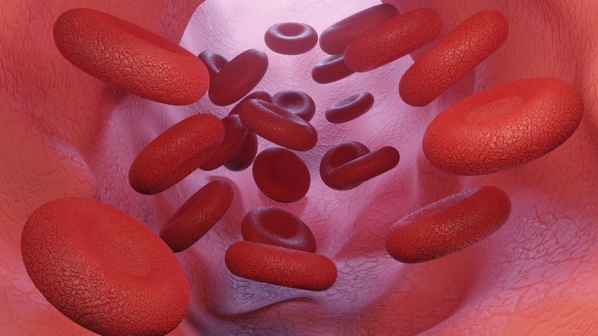 cheagurile-de-sange---care-sunt-cele-trei-semne-pe-care-nu-trebuie-sa-le-ignori--pot-duce-la-embolie-pulmonara-si-avc_48486600