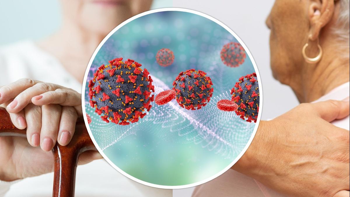 infectiile--risc-pentru-alzheimer-si-parkinson_27003100