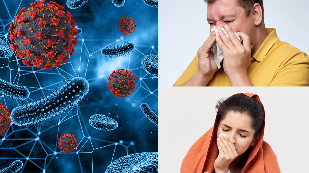 vaccinul-gripal--de-ce-e-important-si-de-ce-nu-ar-trebui-sa-te-mai-sperie-reactiile-adverse--cum-te-face-boala-sa-nu-mai-crezi-in-conspiratii--adevarul-despre-ceapa--usturoi-si-tuica_79539100
