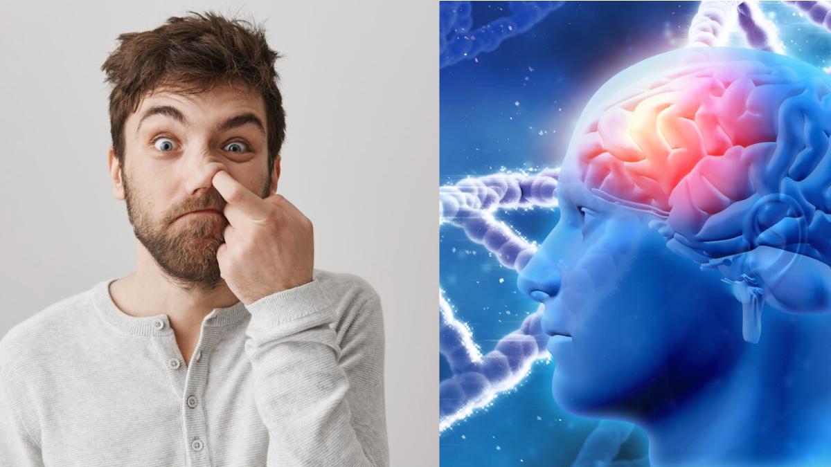 scobitul-in-nas--asociat-cu-boala-alzheimer--cercetator-dovezile-sunt-infricosatoare_45726900