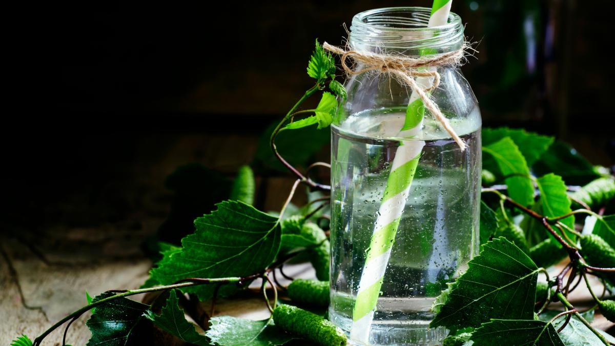 seva-de-mesteacan--beneficii-pentru-sanatate--are-actiune-anticancerigena-si-antiinflamatoare--fiind-eficienta-si-in-cosmetica_00892300