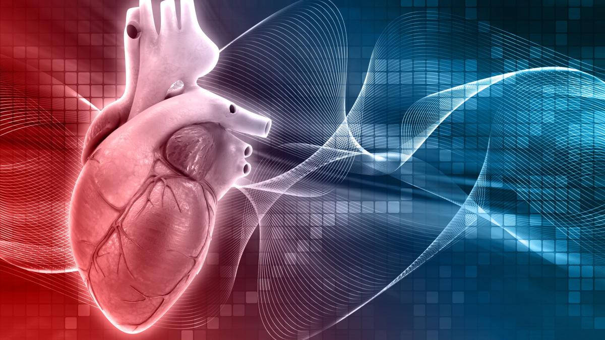 coronarografia--cand-se-recomanda-si-in-ce-consta-examinarea--boala-arteriala-coronariana-este-principala-cauza-de-deces_36300400