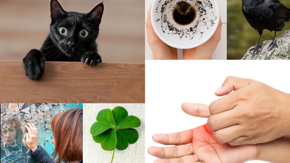superstitiile--intre-magie-si-vrajitorie--ce-inseamna--de-fapt--mancarimile-palmelor--cifra-13--pisica-neagra--leca_-mii-de-oameni-care-se-imbolnavesc-anual-din-cauza-lor_06599200