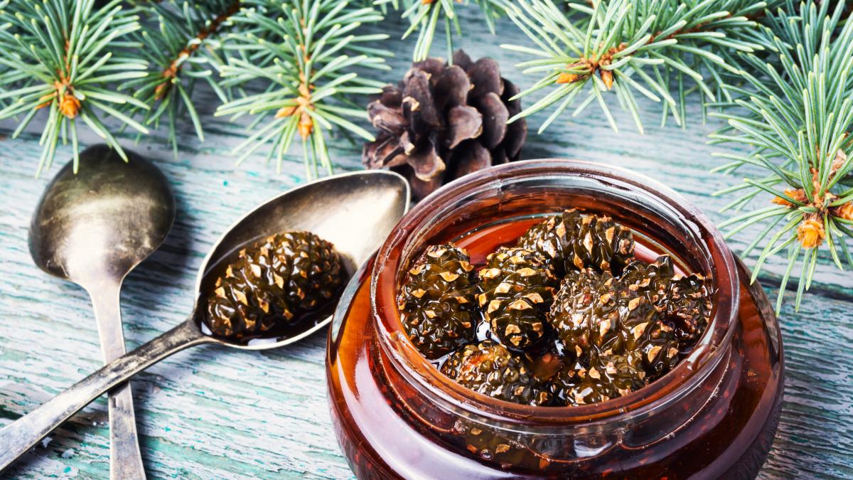 sirop-de-muguri-de-brad--cum-se-prepara--cum-se-bea-si-care-suntprc-c2prc-a0beneficiile-sale_88149700