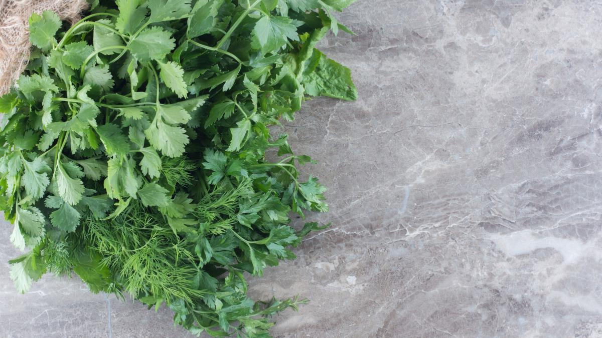 coriandru--sursa-importanta-de-vitamina-a-si-k--la-ce-trebuie-sa-fiti-atenti-cand-il-consumati_51123400