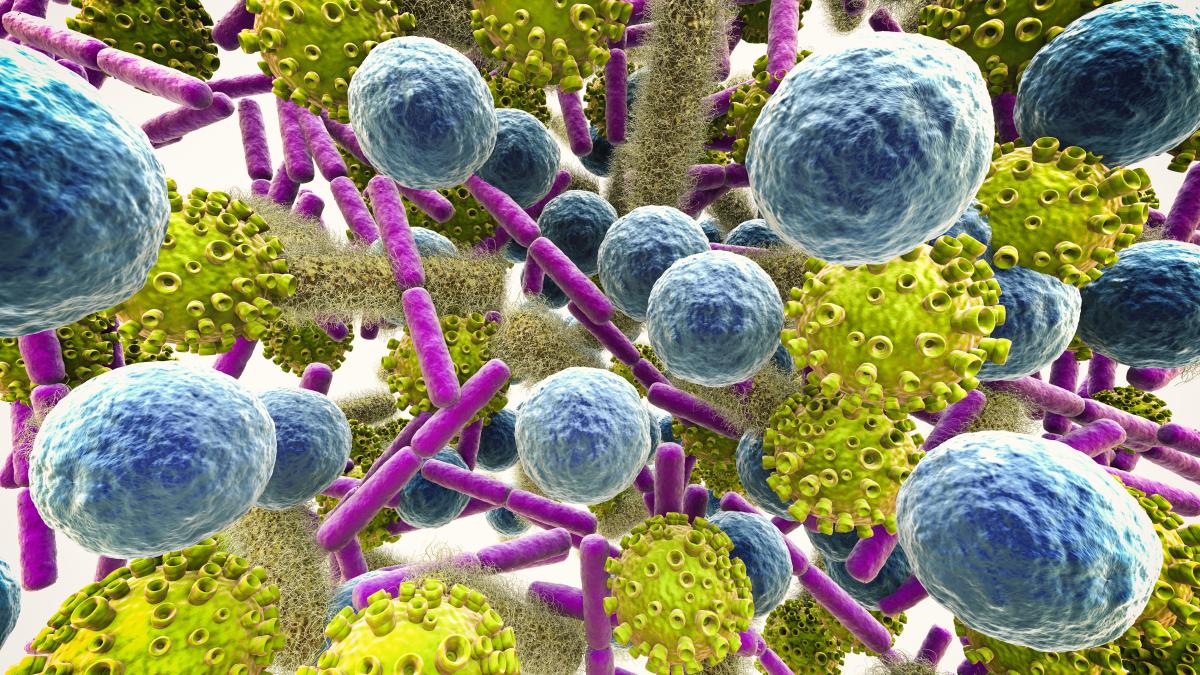 clostridium-perfringens--bacteria-identificata-in-dunare_73070000