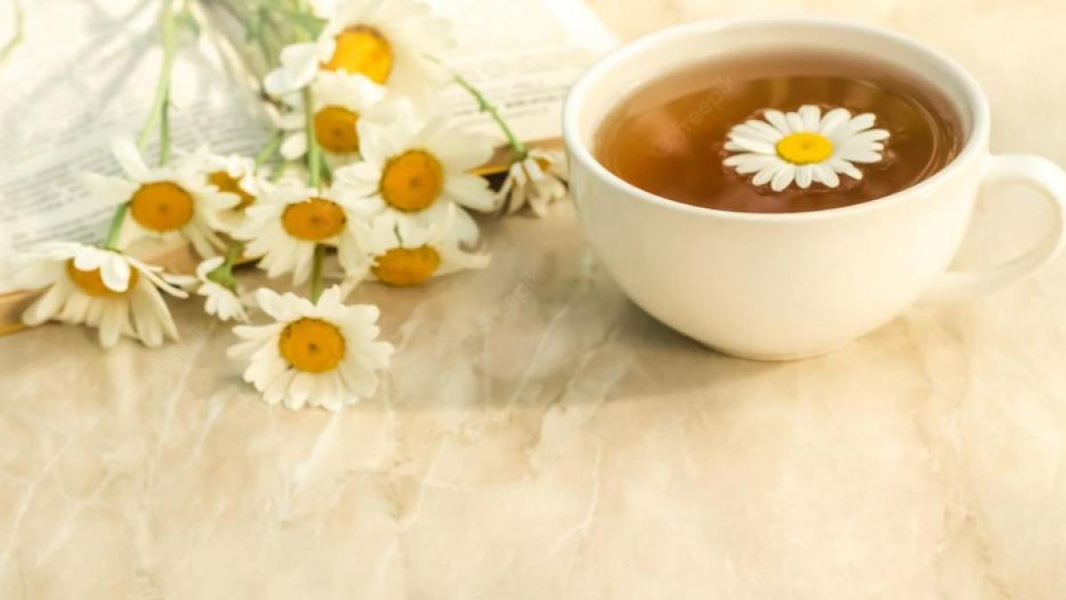 sase-plante--bune-pentru-stomac--digestie-si-tranzit-intestinal_86111100