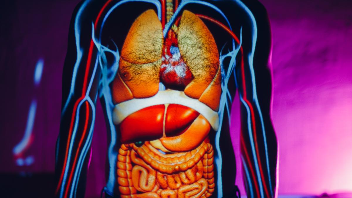 anevrismul-de-aorta-abdominala--ucigasul-tacut_46490700