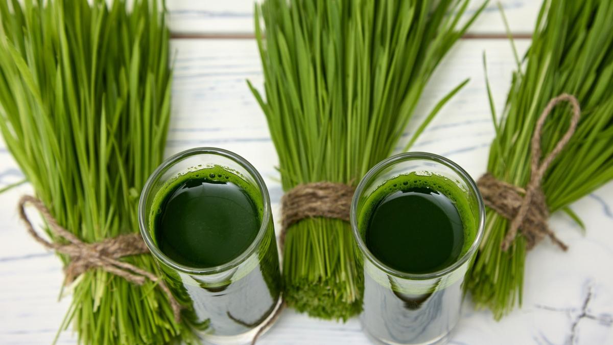 superalimentul-cu-potential-anticancerigen--scade-tensiunea-si-stresul-oxidativ--il-puteti-obtine-in-cateva-zile_17251400
