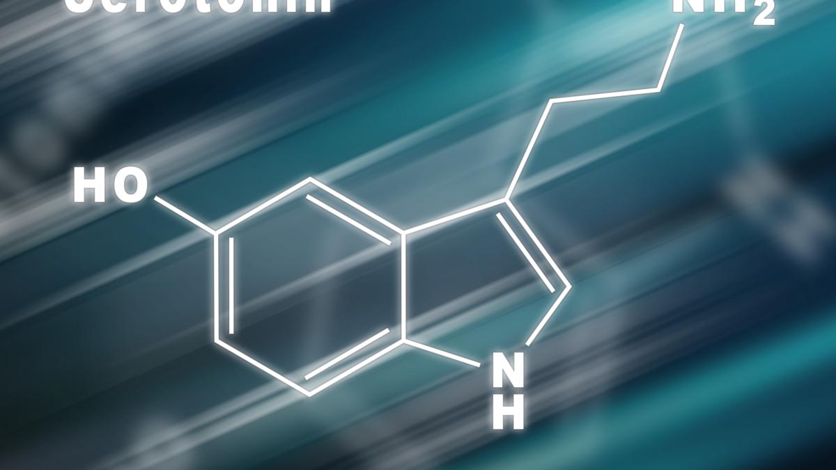 serotonina--asociata-cu-regurgitarea-mitrala-degenerativa--cercetator-poate-ajuta-la-identificarea-pacientilor_57221900