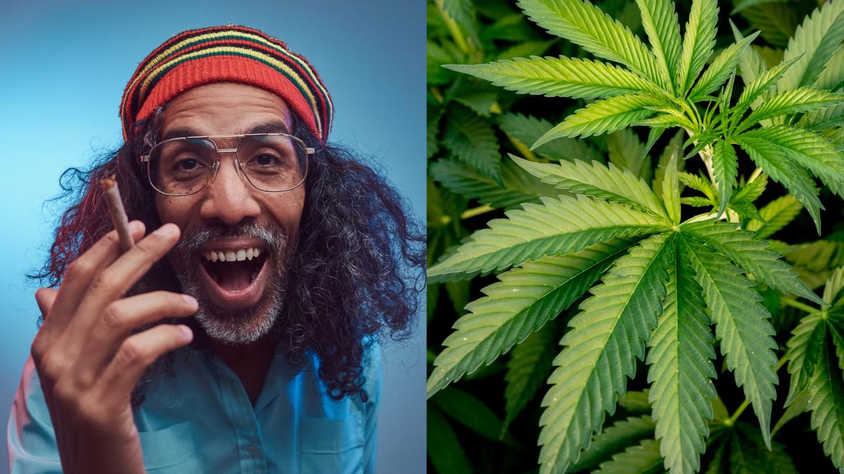 ce-simti-cand-consumi-cannabis-marijuana-si-in-cat-timp-trec-efectele-din-organism--cum-depisteaza-politia-consumatorii-in-trafic--curca-devine-dintr-o-data-de-gasca_76772800