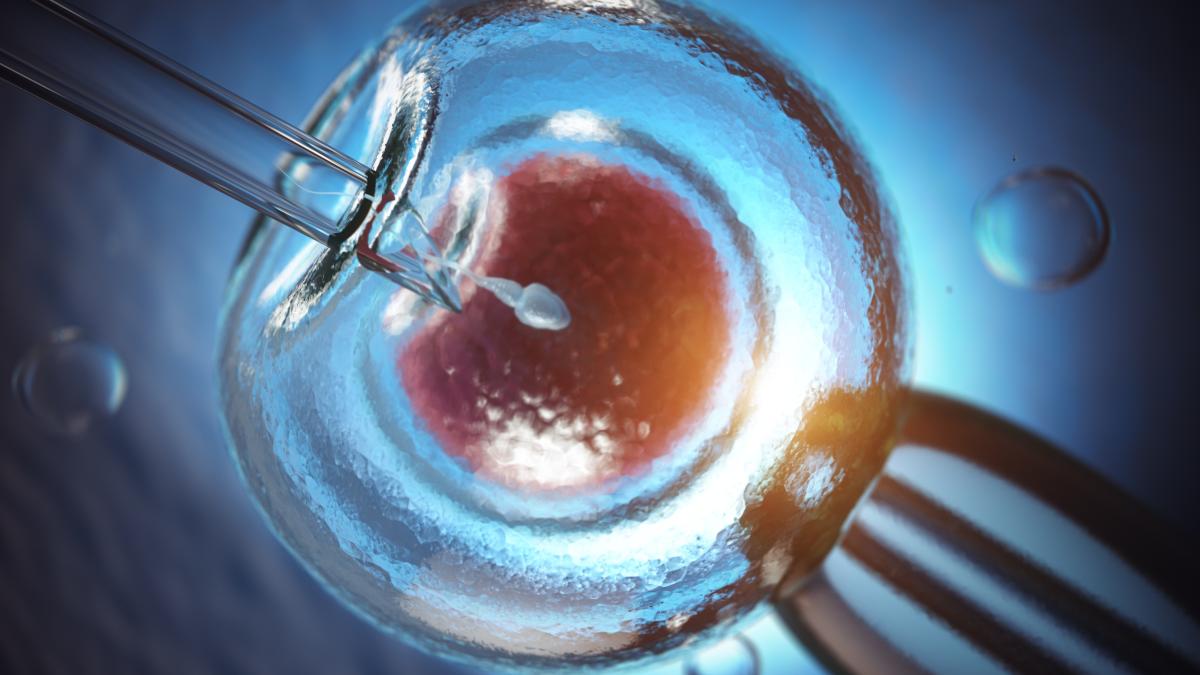 fertilizarea-in-vitro--riscuri-_33625900