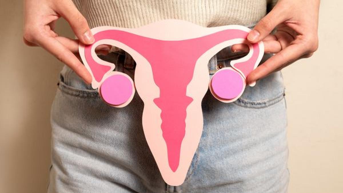 testul-amh--testul-fertilitatii--cui-ii-este-adresat-si-ce-alte-indicii-poate-oferi--medic--despre-rezerva-ovariana-nu-este-o-garantie-ca-la-40-de-ani-va-fi-la-fel-de-buna_08493800