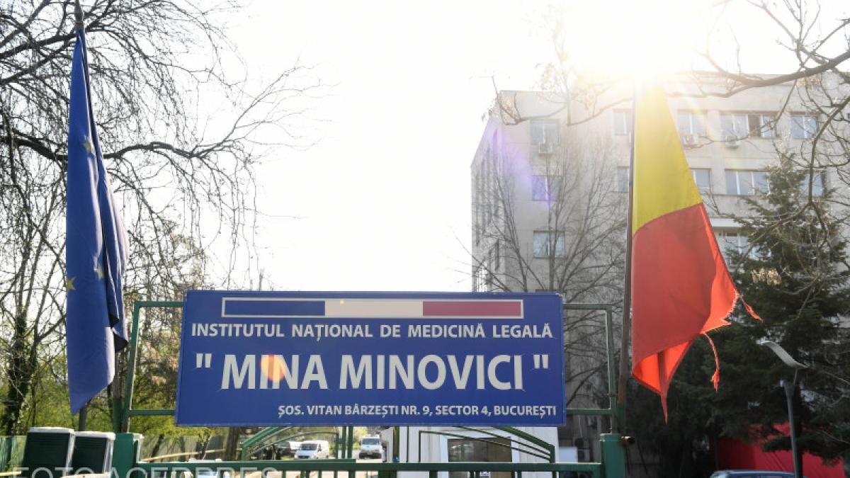 de-ce-are-inml-o-gradina-cu-copaci-si-ce-rol-joaca-magazia--curca-inml-totul-a-fost-gandit_55665300