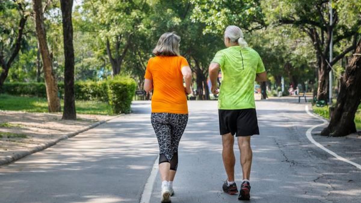 activitatea-fizica-regulata--asociata-cu-o-buna-functionare-a-creierului-la-adultii-in-varsta--cati-pasi-sunt-necesari-pentru-a-evita-dementa_98475100