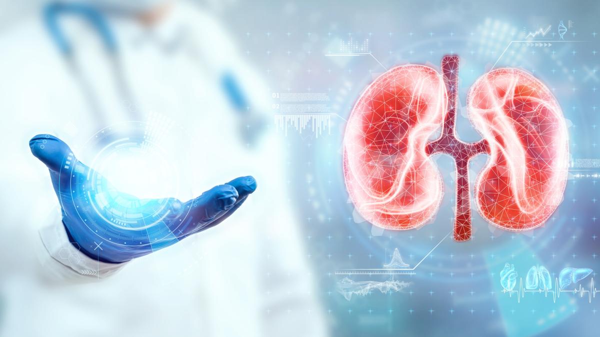 prima-campanie-nationala-de-constientizare-a-bolii-cronice-de-rinichi--lansare--rafila-1-din-10-persoane--diagnosticate-in-stadii-incipiente_82058000