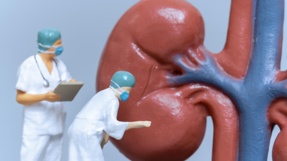 transplantul-renal--ce-nu-se-stie-dupa-interventie-_78544900