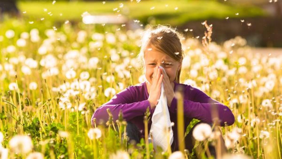 cum-facem-diferenta-intre-alergia-la-polen-si-viroze--leru-sistemul-imunitar-o-ia-razna_78301800