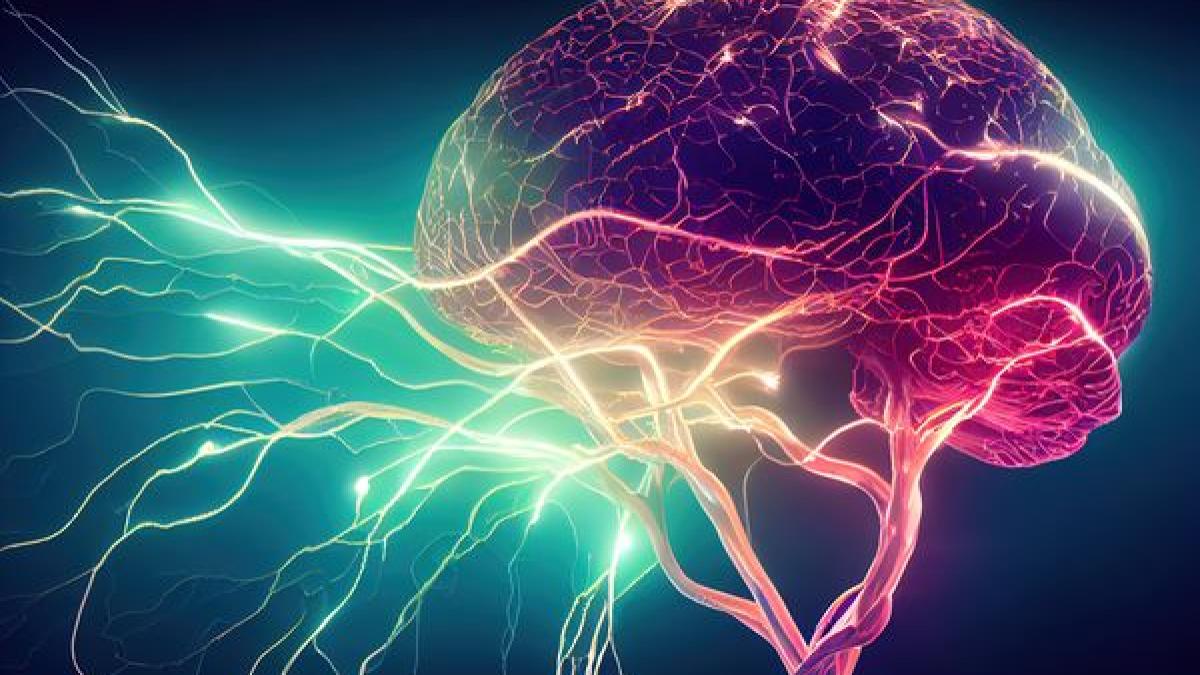 deficitul-de-vitamina-f--asociat-cu-probleme-neuronale--in-ce-produse-se-gaseste_18056200