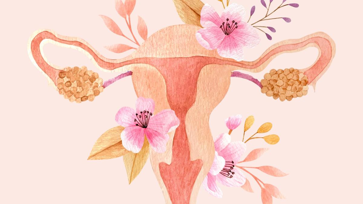 leziunile-precanceroase-ale-tractului-genital-inferior--cauze_86989500