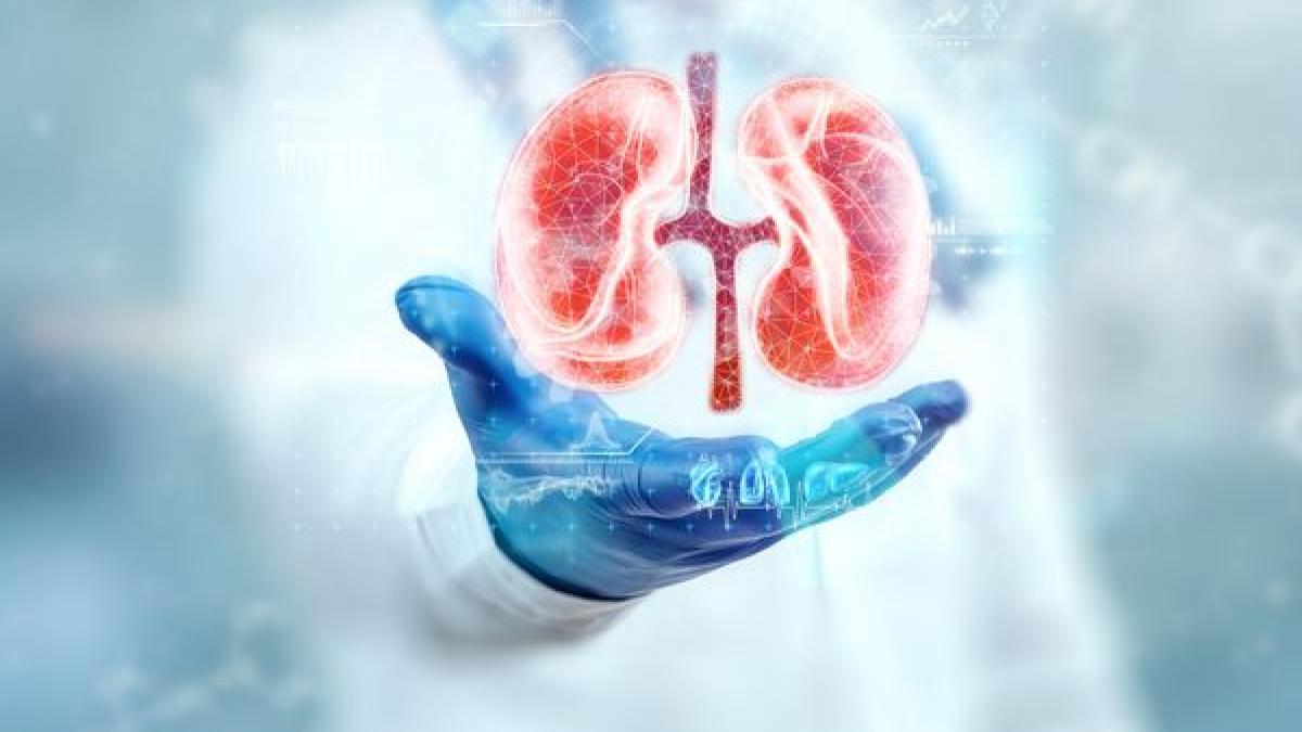 chistul-renal-factori-de-risc-si-tratament--care-sunt-complicatiile-acestuia--parliteanu-nu-putem-preveni-aparitia-lui--ci-putem-preveni-complicatiile_10460700