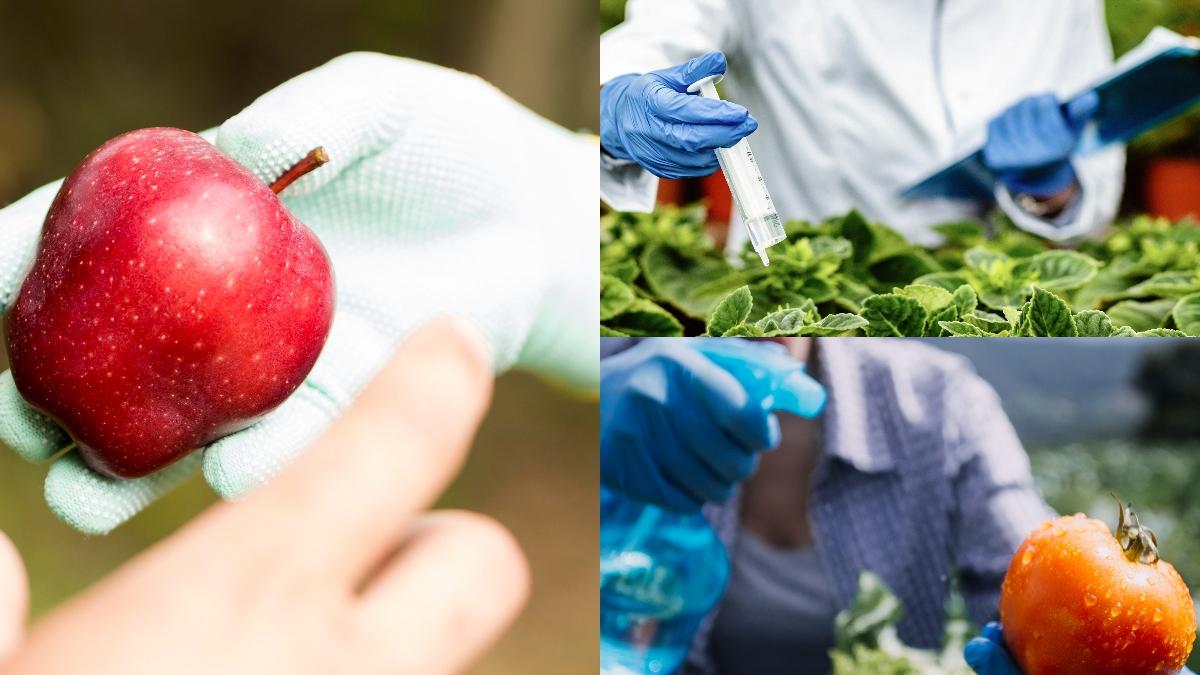 pesticidele-din-fructe-si-legume--otrava-pentru-organism_82224300