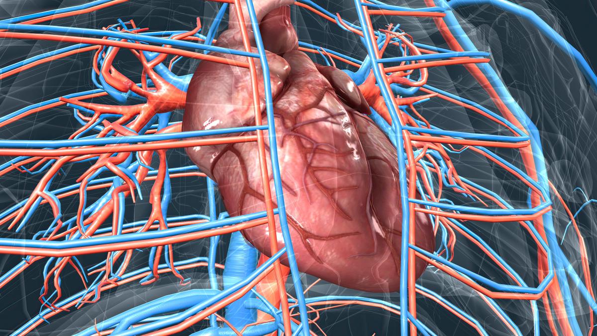 stenoza-aortica-simptome-si-testul-pe-care-trebuie-sa-il-faci-la-40-de-ani--sunetul-din-stetoscop-care-arata-boala--stanislav-rurac-apare-angina-pectorala-sau-durerea-toracica_30619500