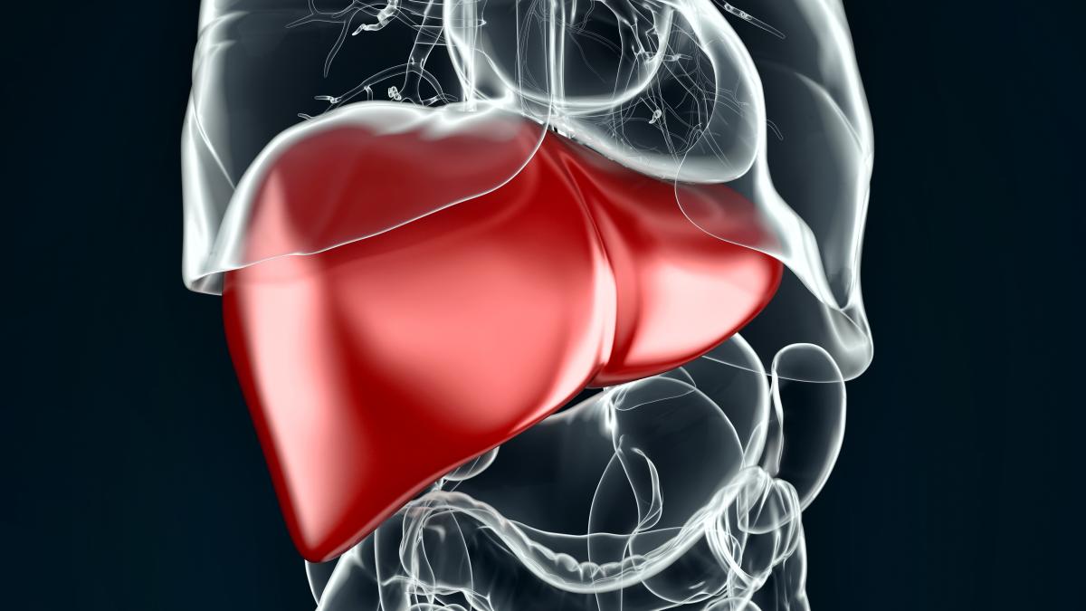 hepatita-b--cauze--simptome--tratament-_78411200