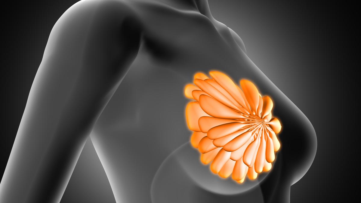 cel-mai-bun-test-care-iti-arata-daca-ai-cancer-la-san--diferenta-dintre-mamografie-si-ecografie-mamara-daca-le-am-spune-pacientelor--lucrurile-ar-fi-mult-mai-simple_96028400