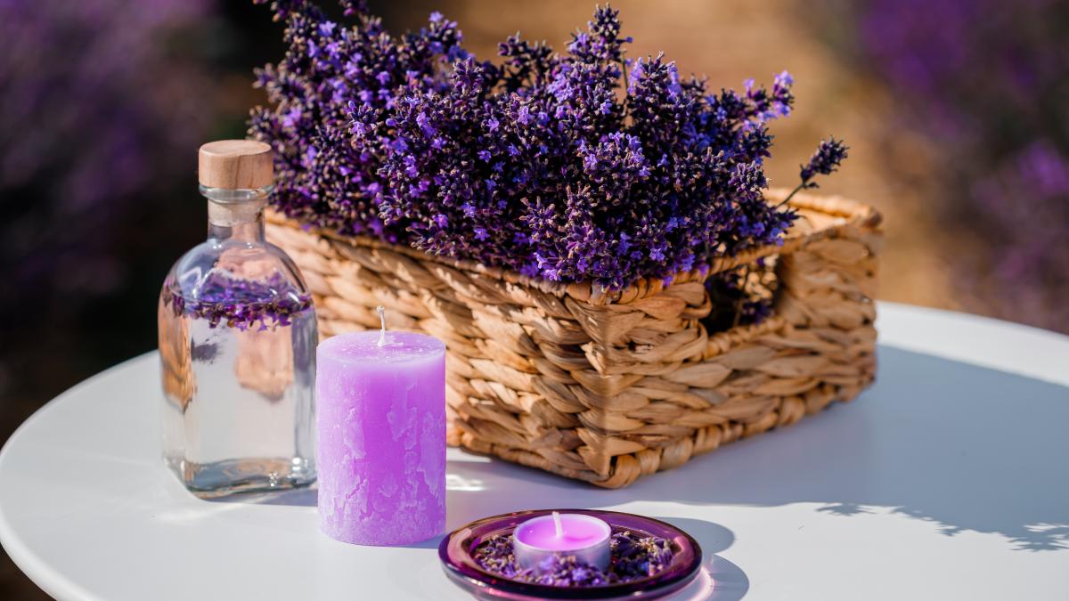 lavanda-beneficii-si-riscuri--ce-nu-ai-stiut-despre-lavanda-si-cand-devine-otravitoare--atentie-la-uleiul-esential-de-lavanda_10617600