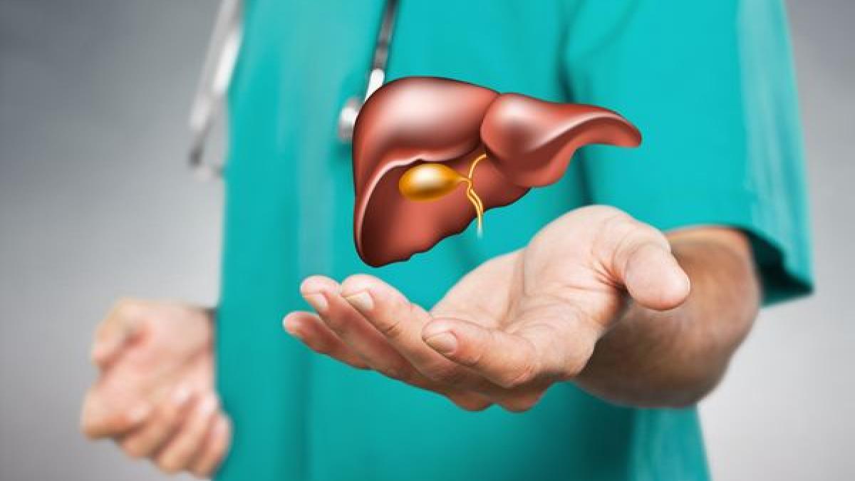 cancerul-hepatic-tipuri-si-tratamente--ionut-dudus-maximizeaza-beneficiile-aduse-de-acest-tip-de-chirurgie_61520500