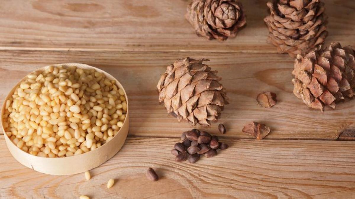 semintele-de-pin--sursa-de-omega-3--regleaza-glicemia-si-promovaza-sanatatea-creierului--cum-se-pot-consuma_85044700
