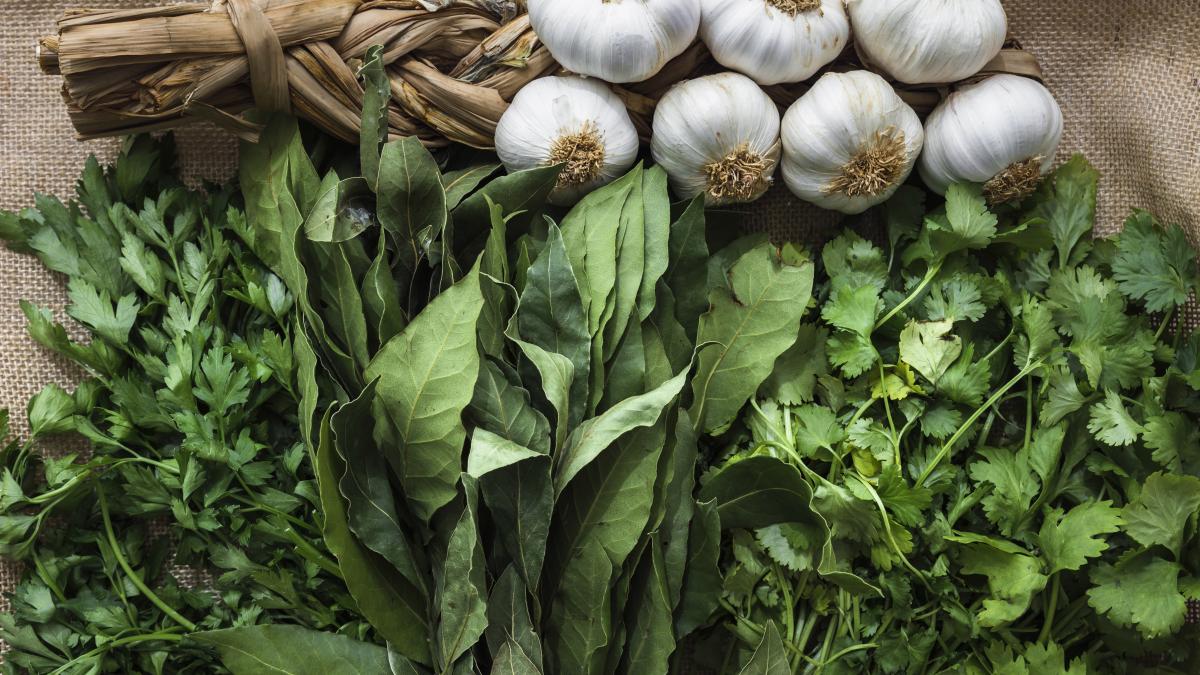 usturoiul-ursului--vindecatorul-natural--e-considerata-prebiotic--ajuta-memoria--elimina-tusea--gazele--balonarea-si-usureaza-respiratia_11110100