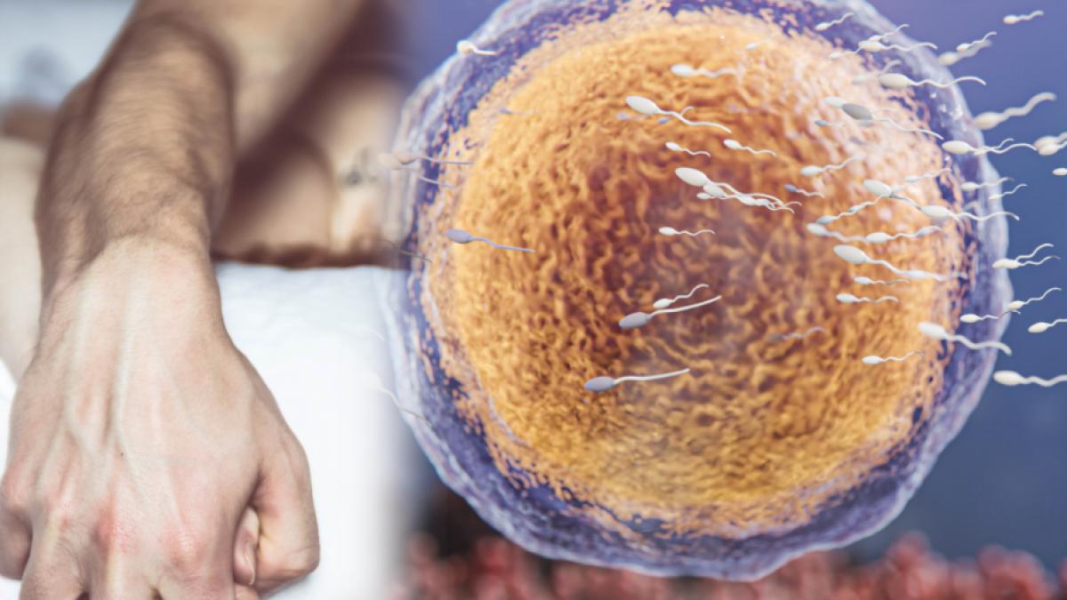 chlamydia--infectia-grava-care-se-ascunde-in-corp--simionescu-produce-uretrita-si-prostatita-la-barbati-si-leucoree-si-infertilitate-la-femei_93196800