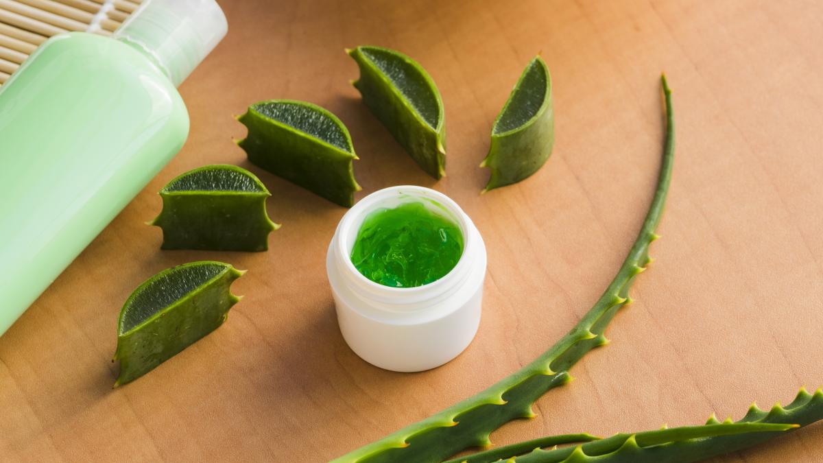 ce-trebuie-sa-stii-despre-aloe-vera-_98654500