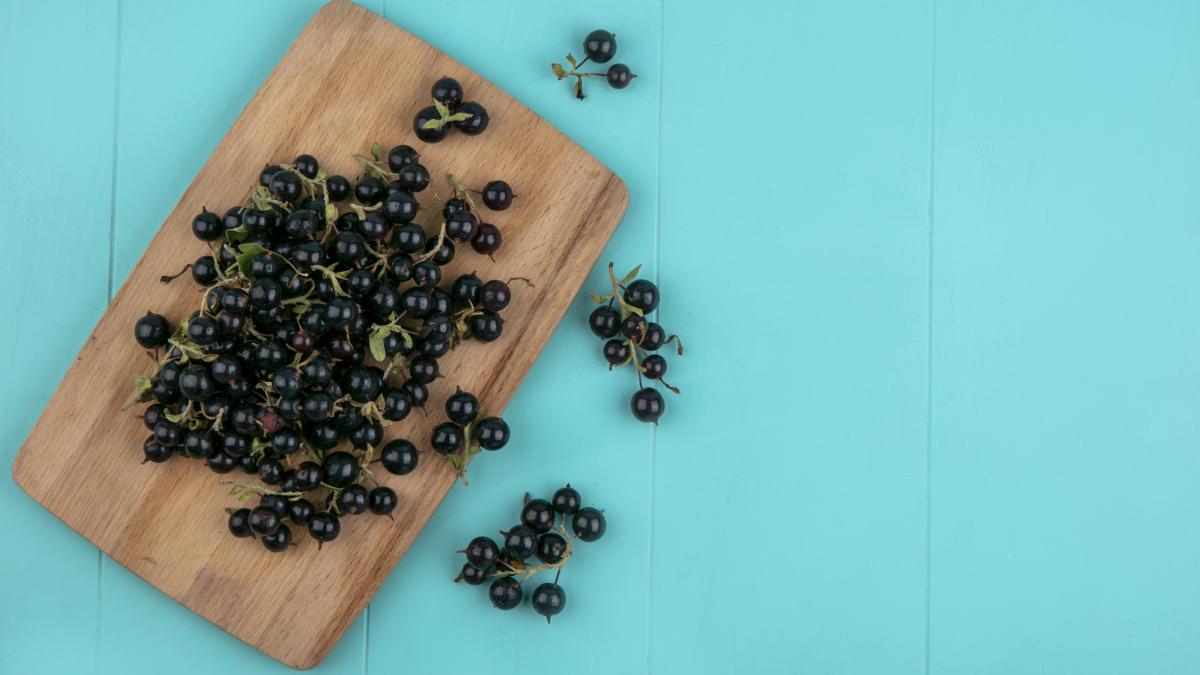 10-beneficii-ale-coacazelor-negre--ajuta-la-reglarea-glicemiei-si-sustin-sanatatea-creierului--reducand-stresul_29402700