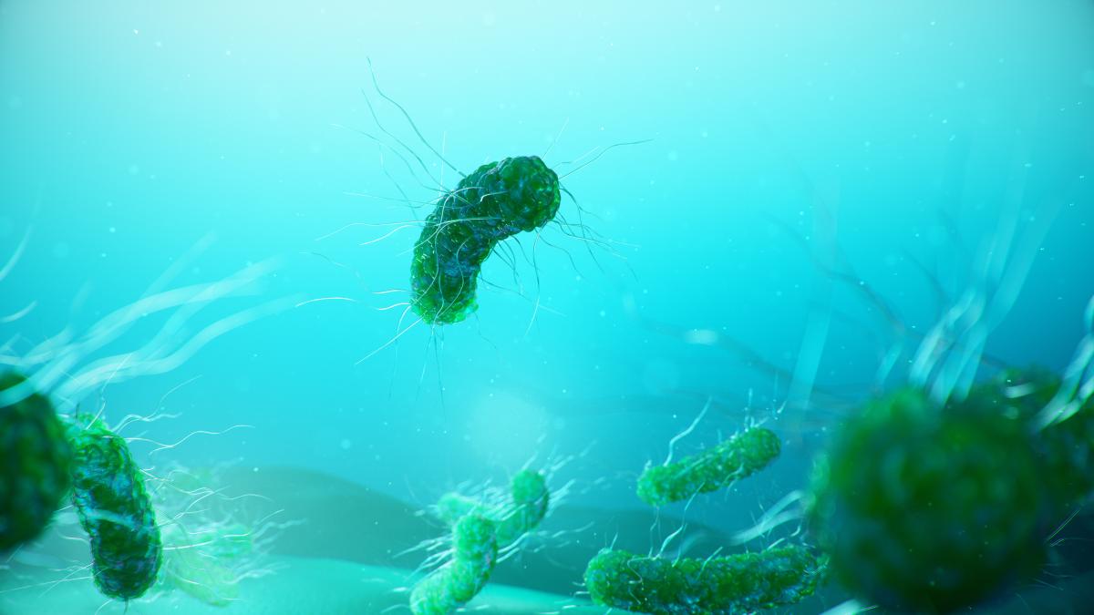 ce-trebuie-sa-stii-despre-infectiile-cu-e-coli_96090600