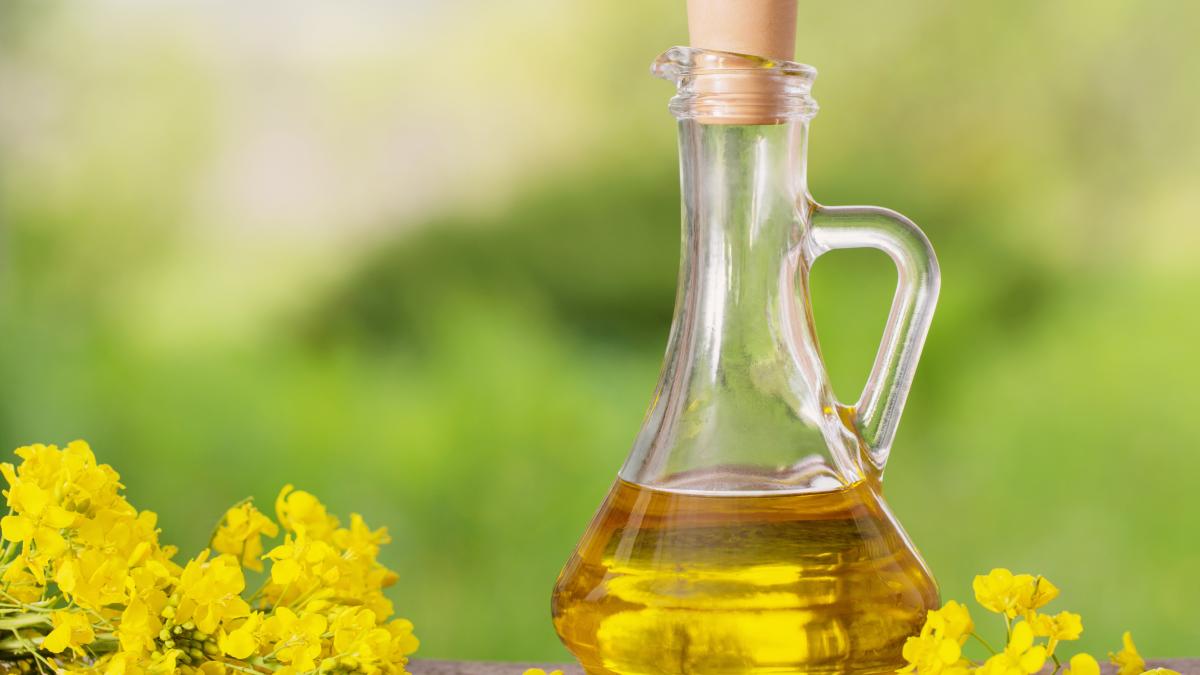 ulei-de-primula-planta-considerata-ceasul-elvetian-al-plantelor-medicinale--are-beneficii-pentru-menopauza--dureri-de-san--bufeuri-si-eczeme_27072400