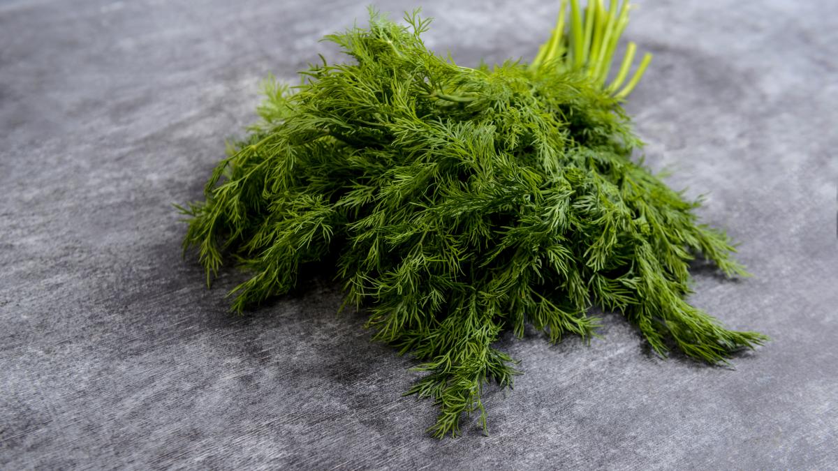mararul--proprietati-antioxidante--ce-alte-beneficii-are-aceasta-planta-asupra-sanatatii_32834600