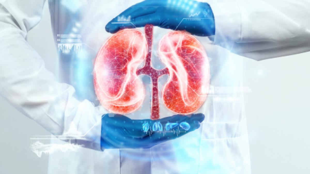xenotransplant-rinichi-boala-renala-cronica_63307000