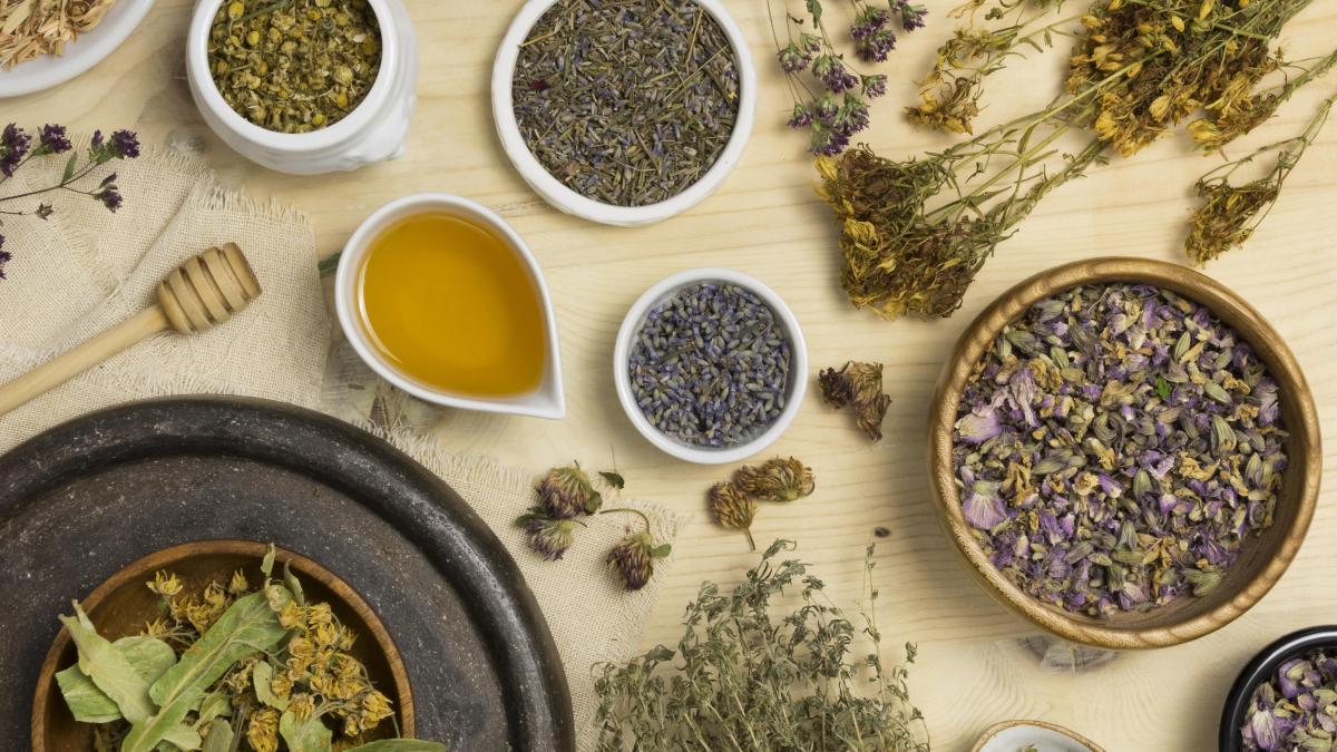 top-10-plante-medicinale-pe-care-trebuie-sa-le-ai-la-tine-in-casa_52752100