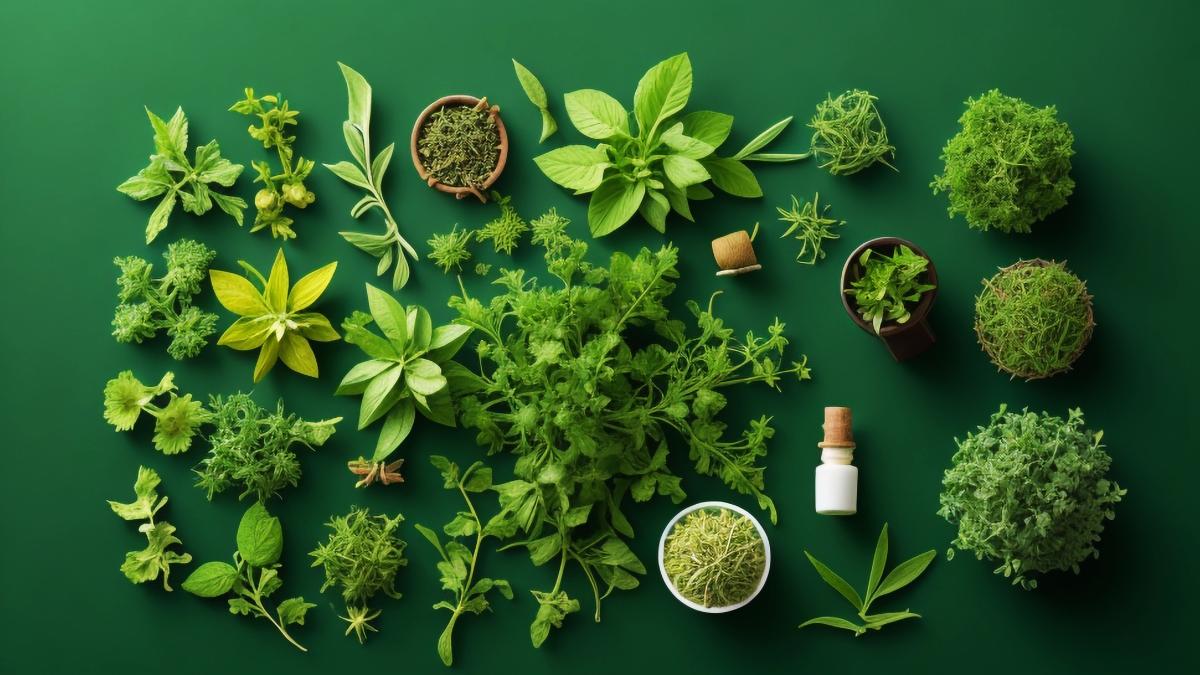 care-este-planta-care-mentine-ochii-sanatosi--dateaza-inca-din-preistorie-si-are-efecte-uimitoare-asupra-circulatiei-sanguine_93813100