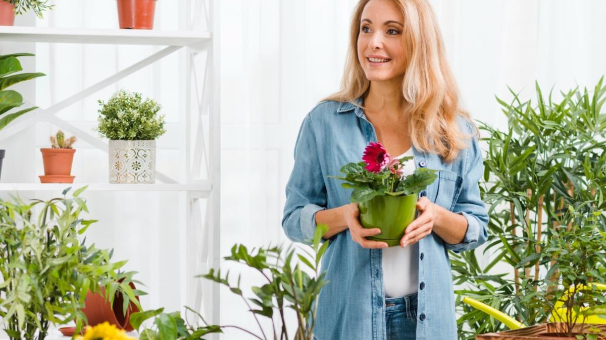 planta-pe-care-trebuie-sa-o-ai-in-casa--purifica-aerul--aduce-noroc-si-atrage-energiile-pozitive_21253000