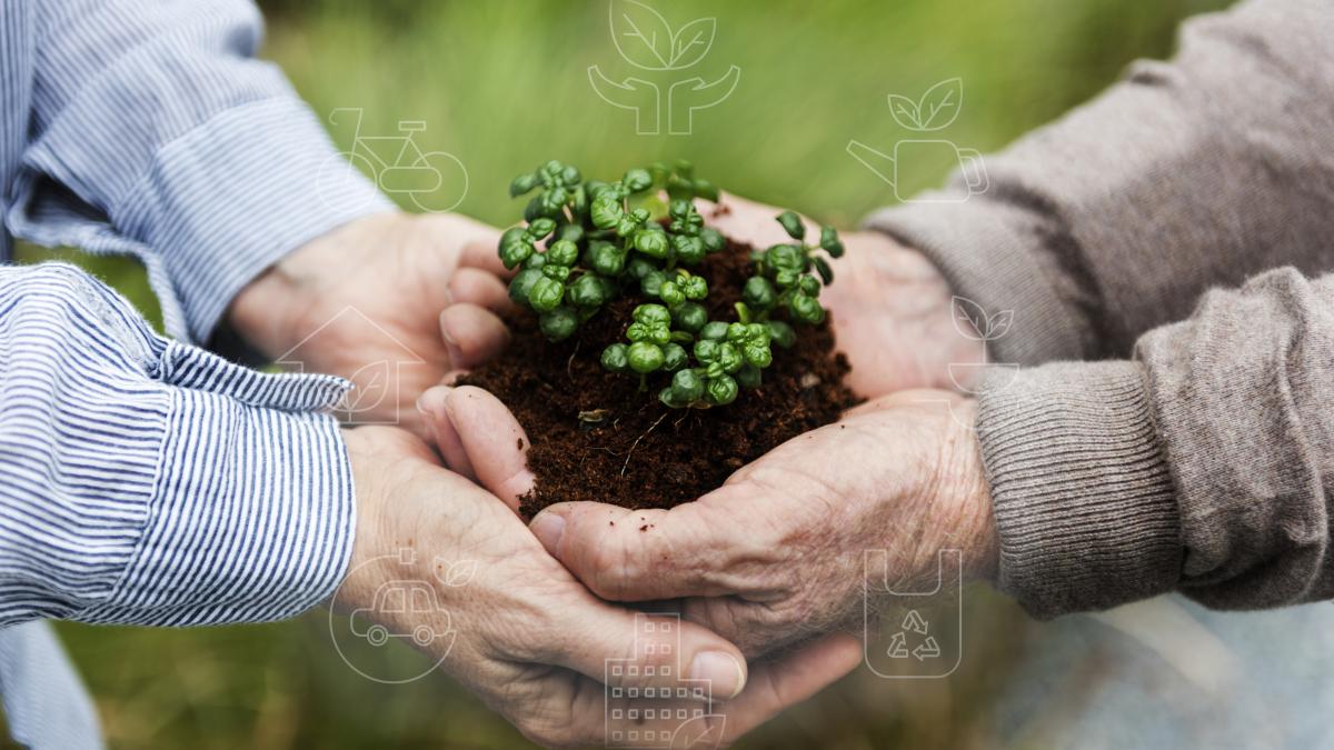 ziua-mondiala-a-alimentatiei-un-apel-global-pentru-sanatate-si-nutritie_21713600